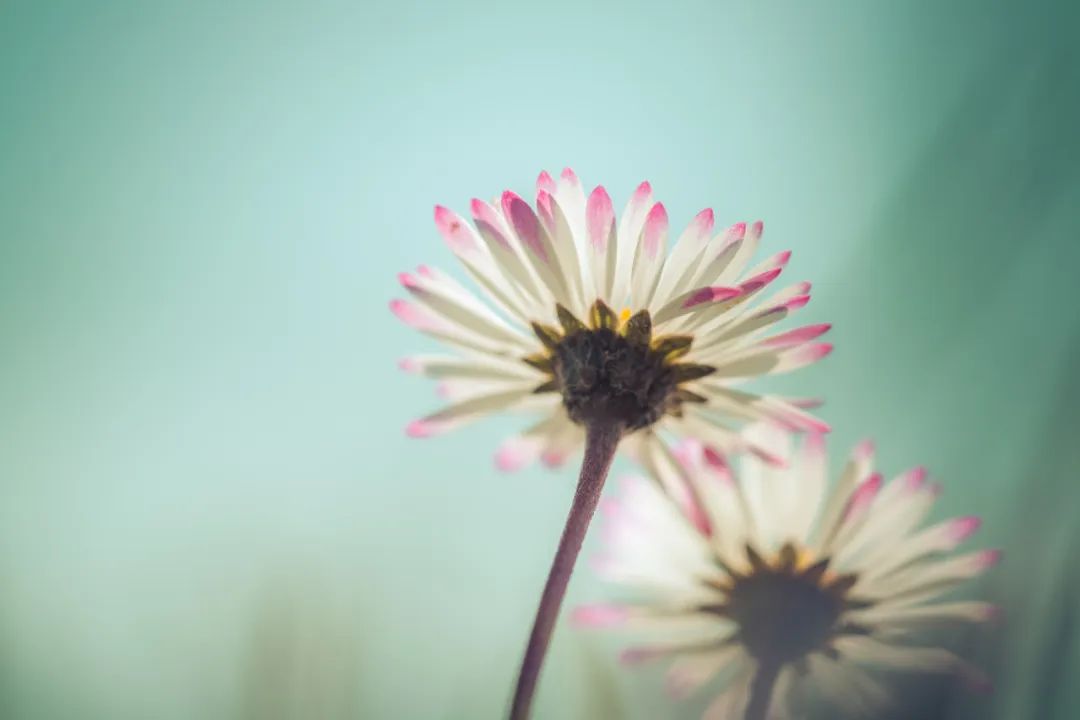 那些惊艳到世人的绝美成语,18个最美成语