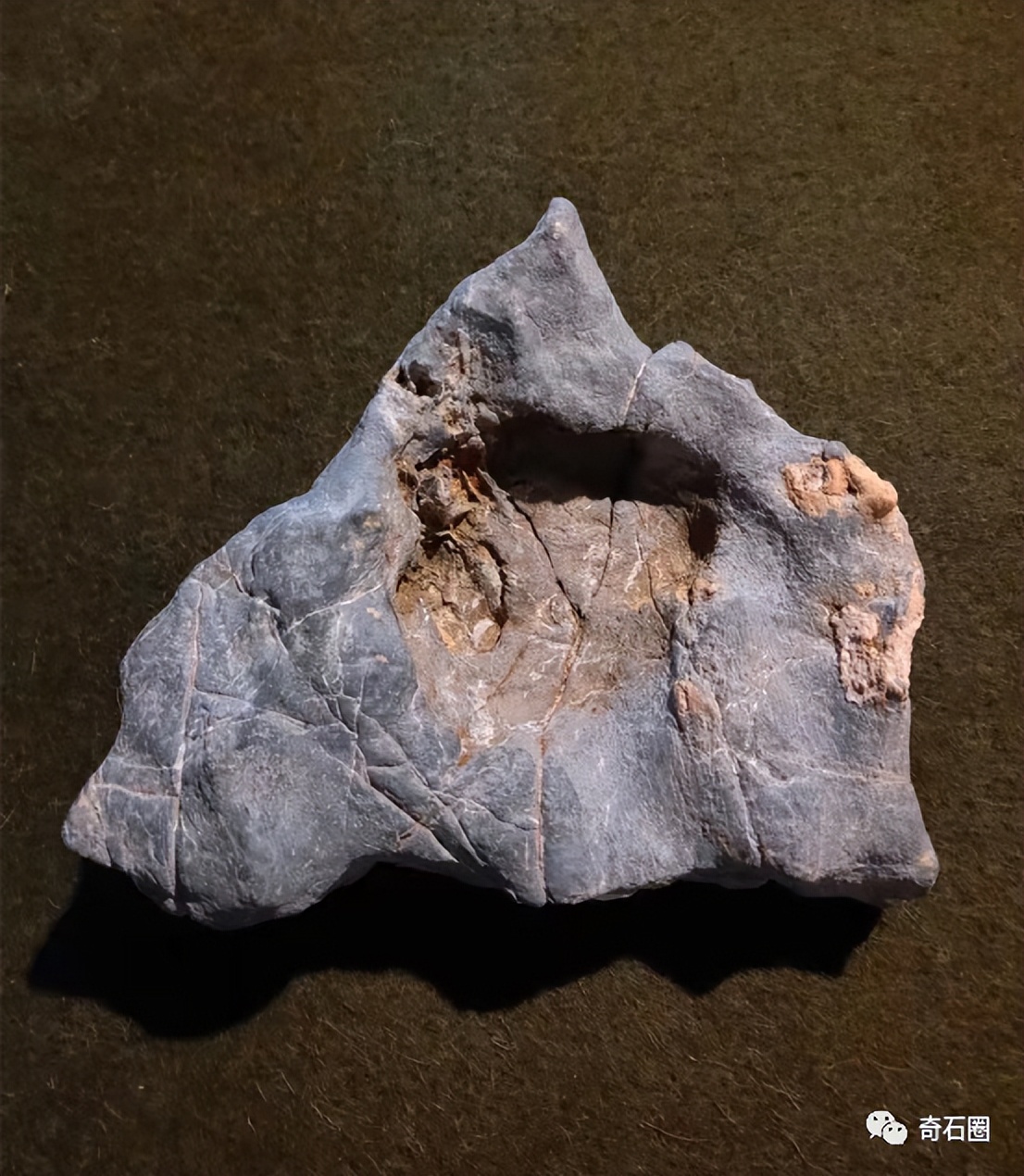 “带窝窝的石头”入围作品展播