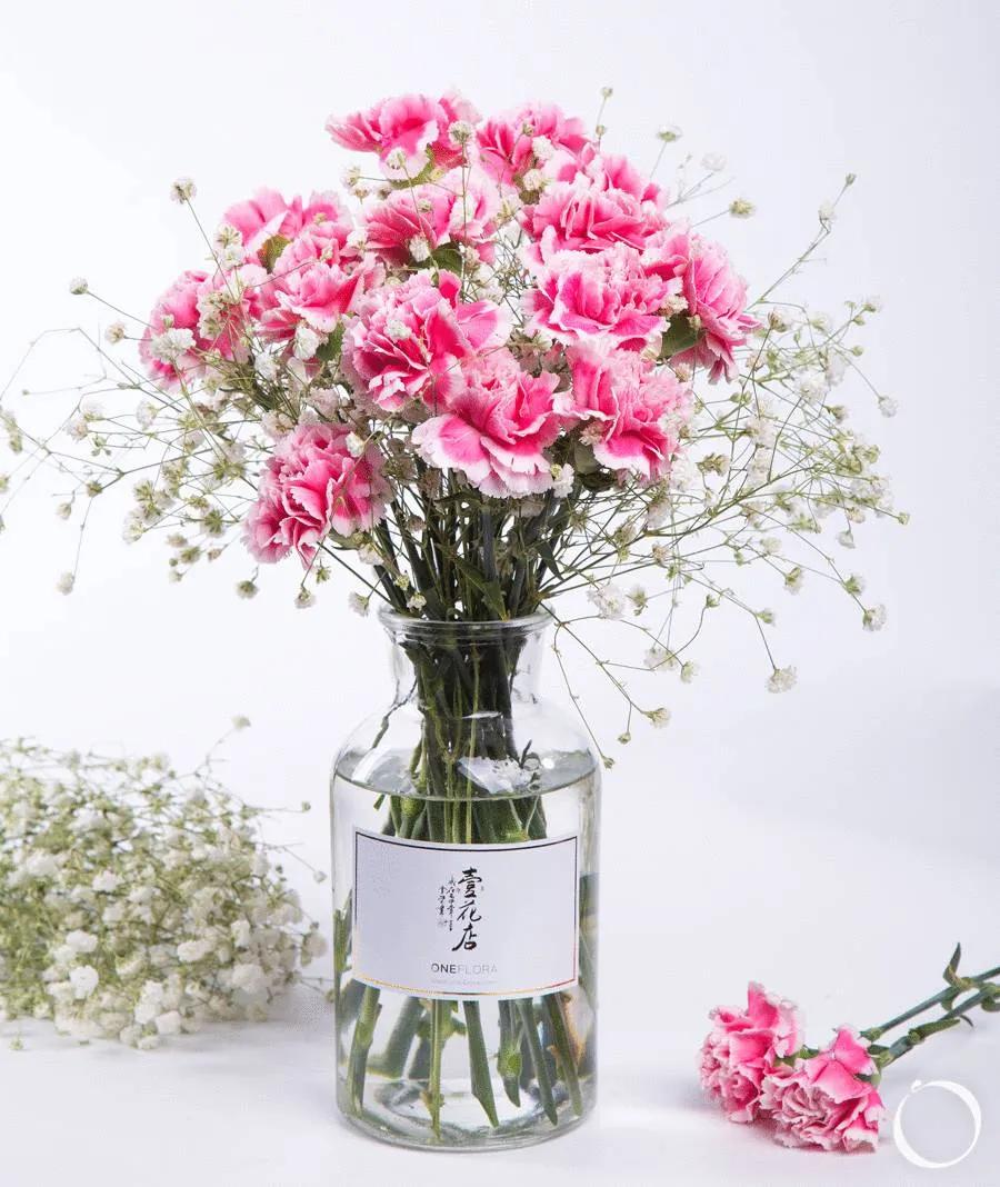 康乃馨花束壁纸,康乃馨壁纸手机超清全面屏