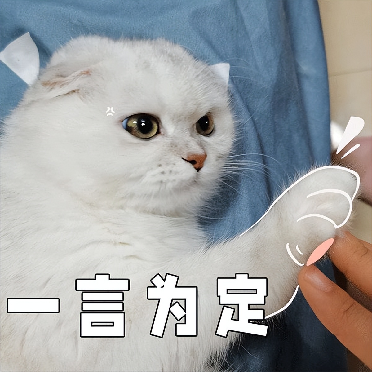 7月1日起电动车新规实施,西安电动车7月1日后有什么规定