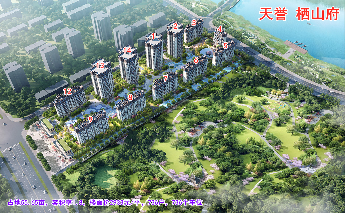 天誉三盛栖山府一层,南充天誉三盛栖山府户型图