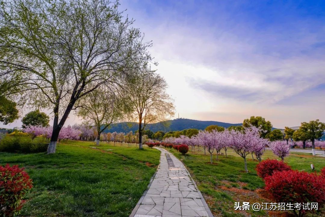 江苏建筑职业技术学院匠心筑梦,江苏建筑职业技术学院45周年
