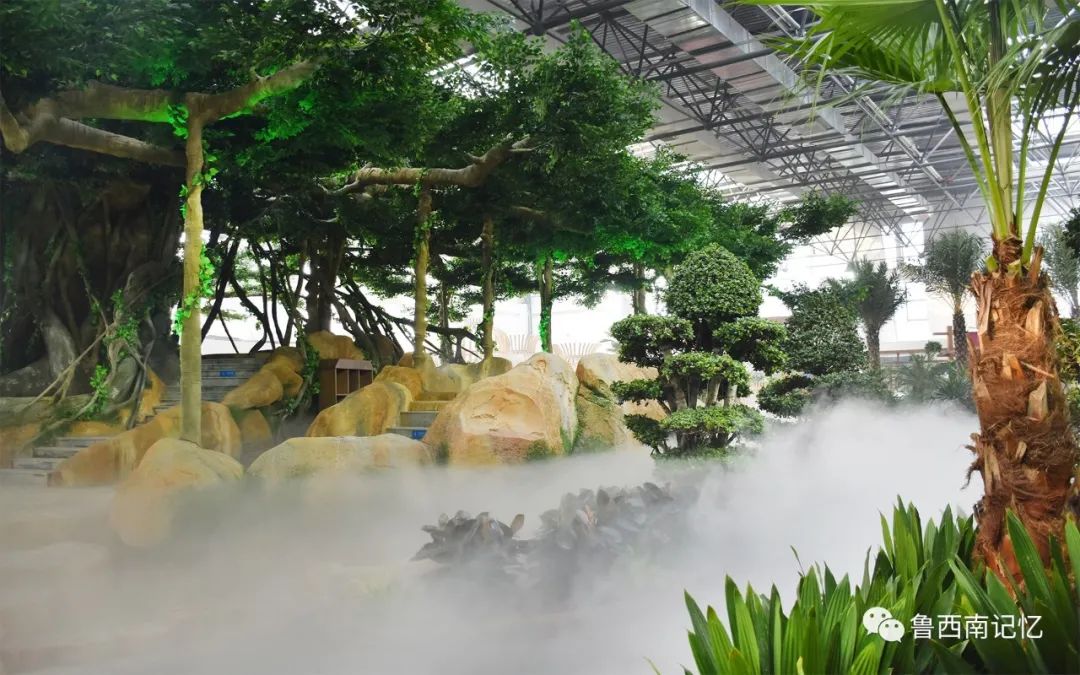 菏泽牡丹节赏花攻略,菏泽春日赏花攻略