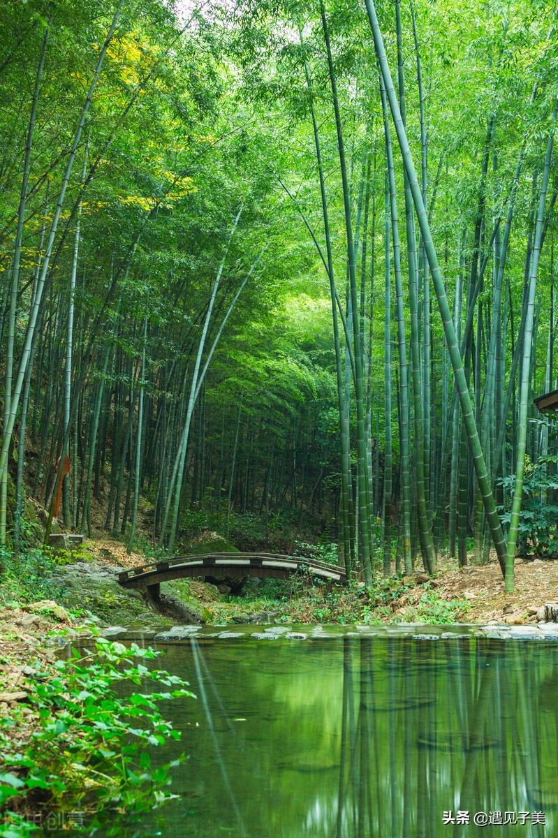 散文人生四季,夏日经典散文阅读