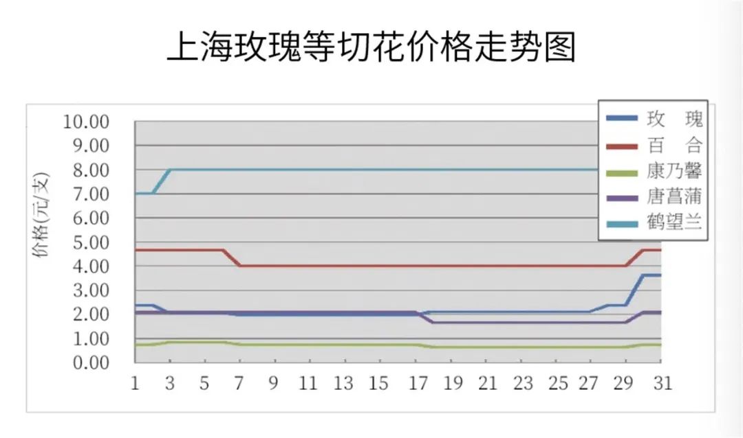 KIFA广州沈阳成都郑州昆明台北日本7月切花|行情