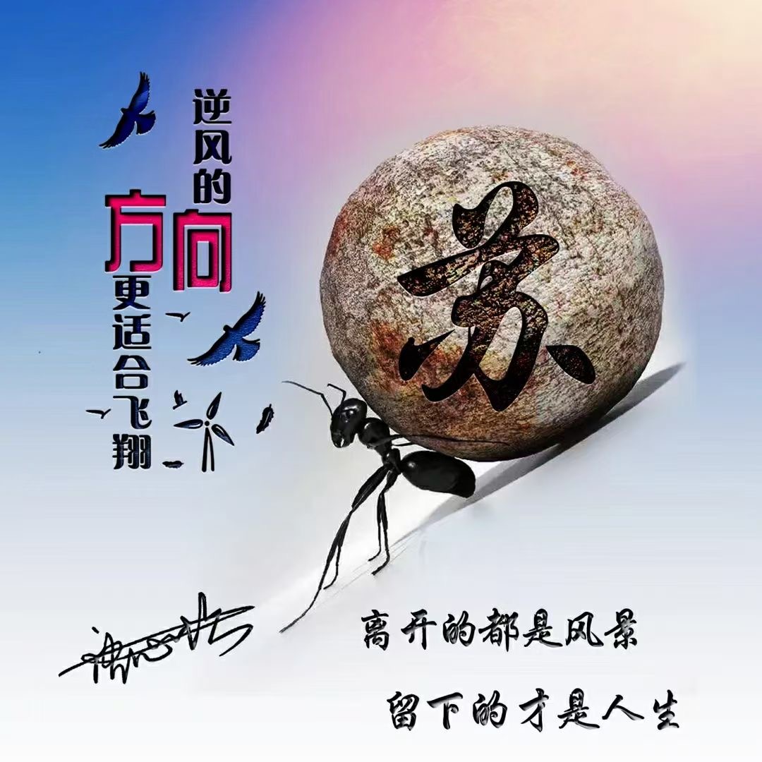 韩姓氏头像大全霸气2021,带有姜姓氏的头像大全霸气一点的