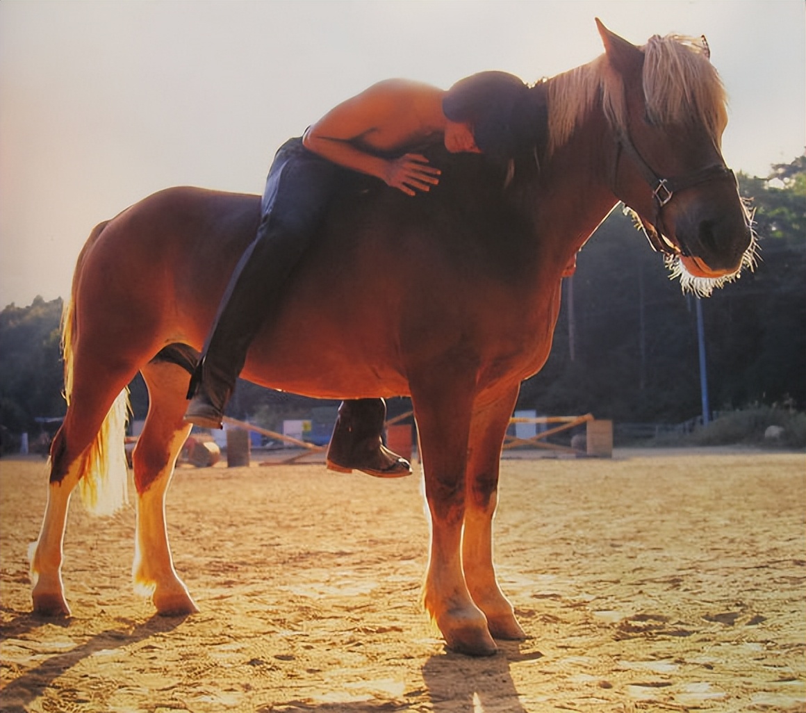 郑伊健什么时候认识蒙嘉慧 (郑伊健现在和蒙佳慧结婚了吗)