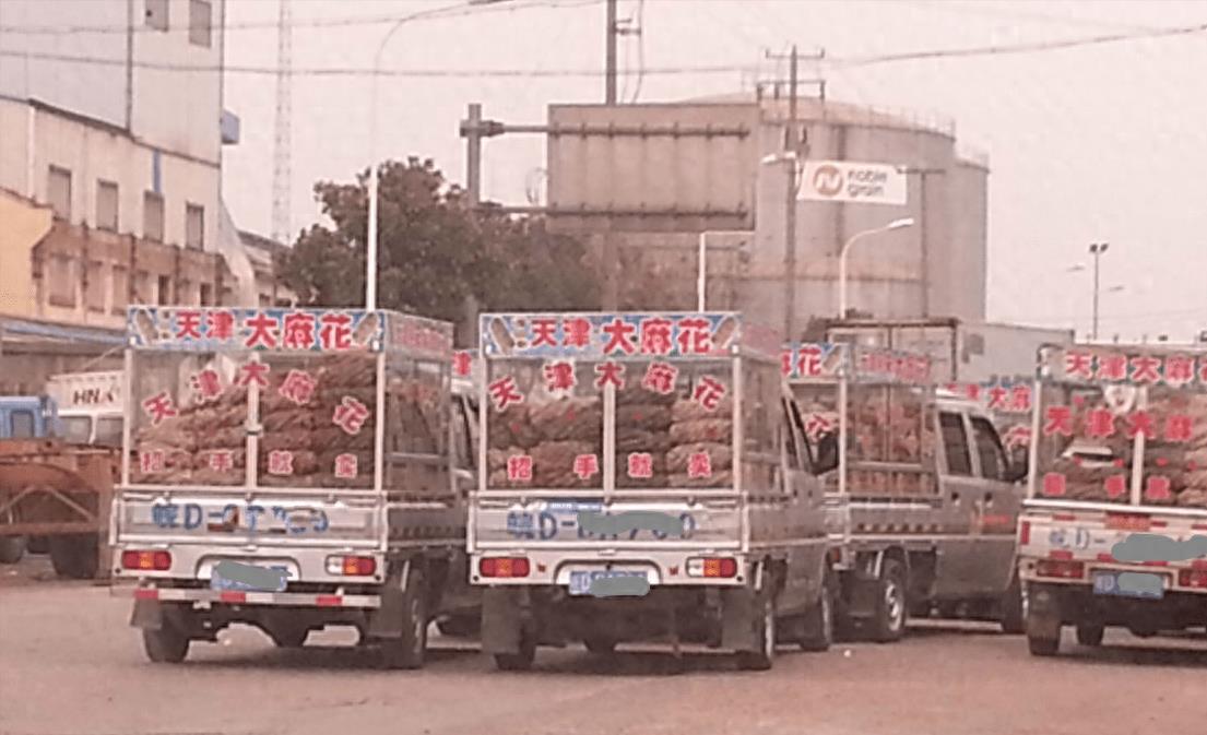 神秘组织天津大麻花的秘密,神秘势力天津大麻花