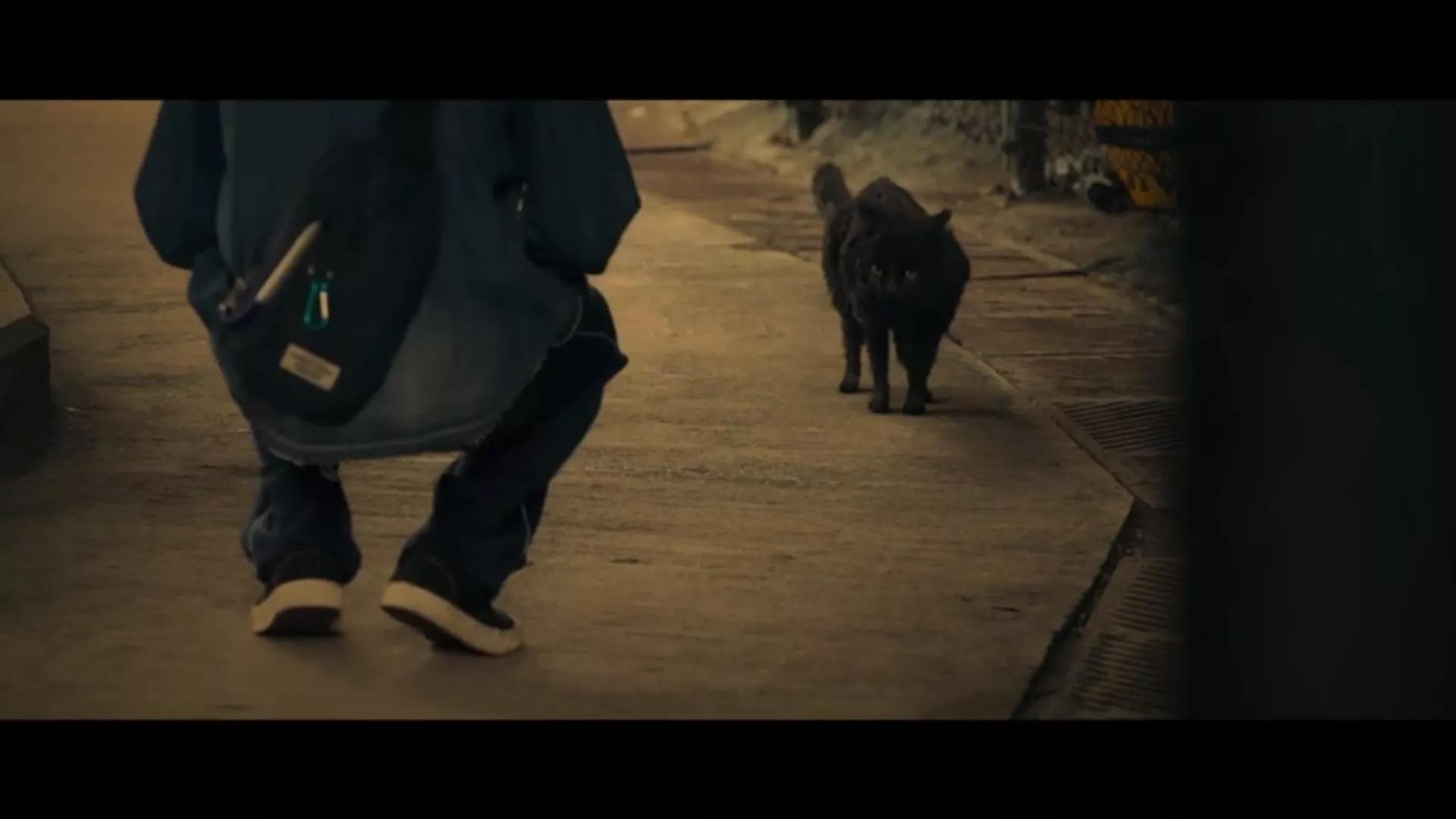 今晚停电，晚饭后，我点了一只蜡烛，躲进被窝，看完了...