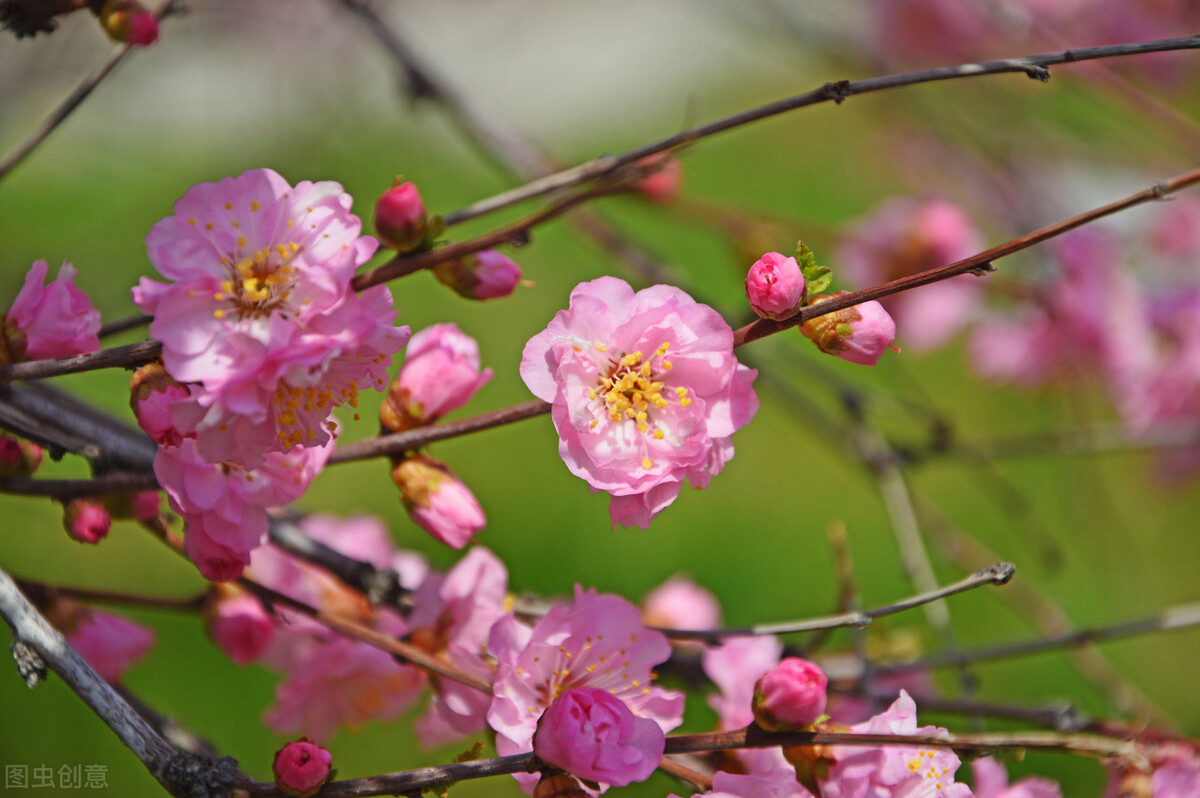 大连婚恋网站哪个靠谱,婚恋相亲网站哪个真实靠谱
