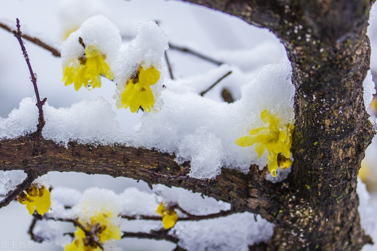 生命的礼物原唱完整版,生命的礼物书籍