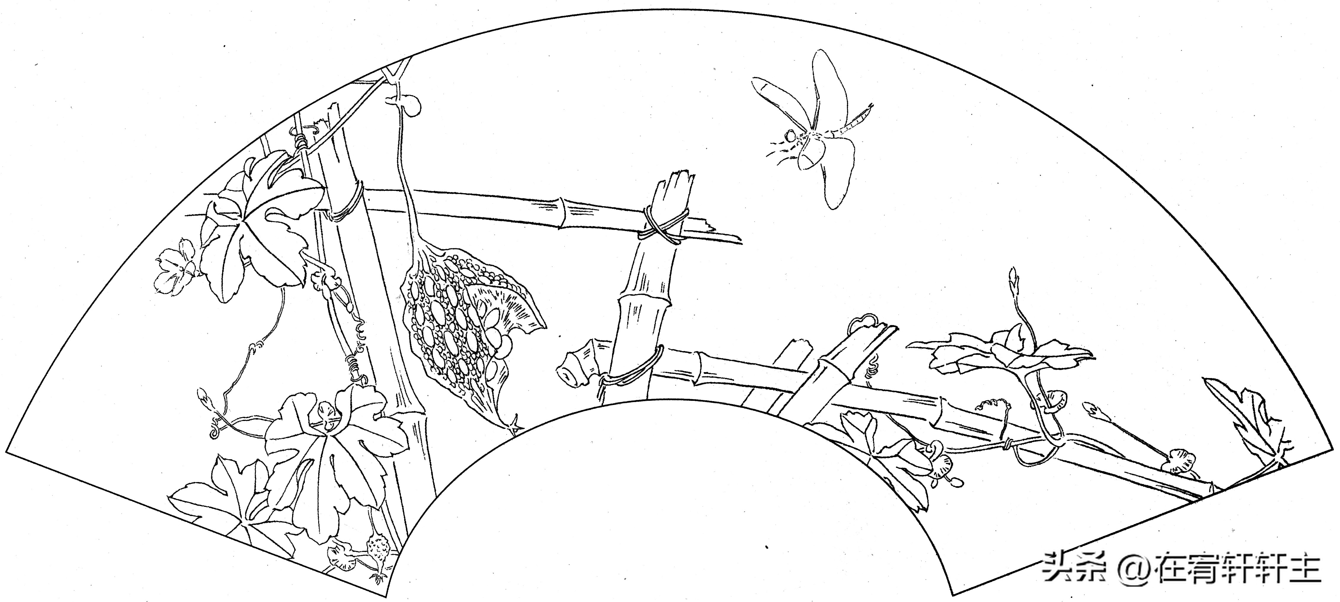 工笔白描祥云图案扇面,工笔扇面葡萄白描图片