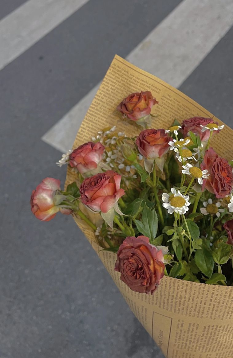 日记｜比爱情更浪漫的是友谊长存