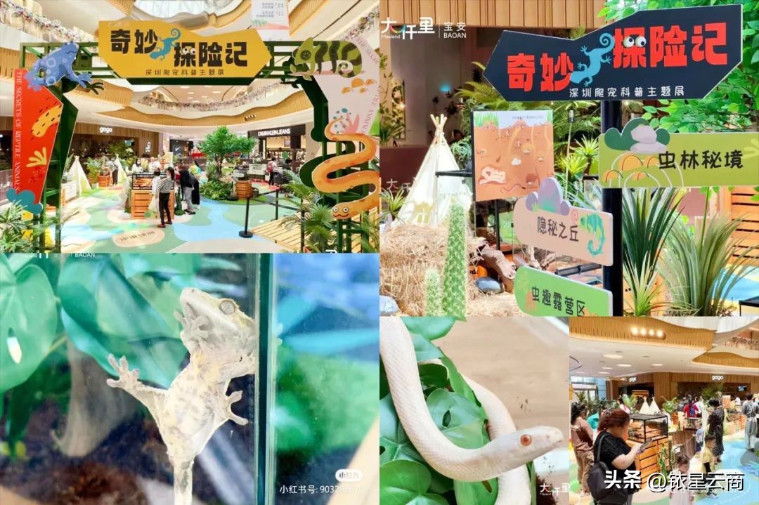 沉浸式体验春季购物节,购物中心最新沉浸式体验