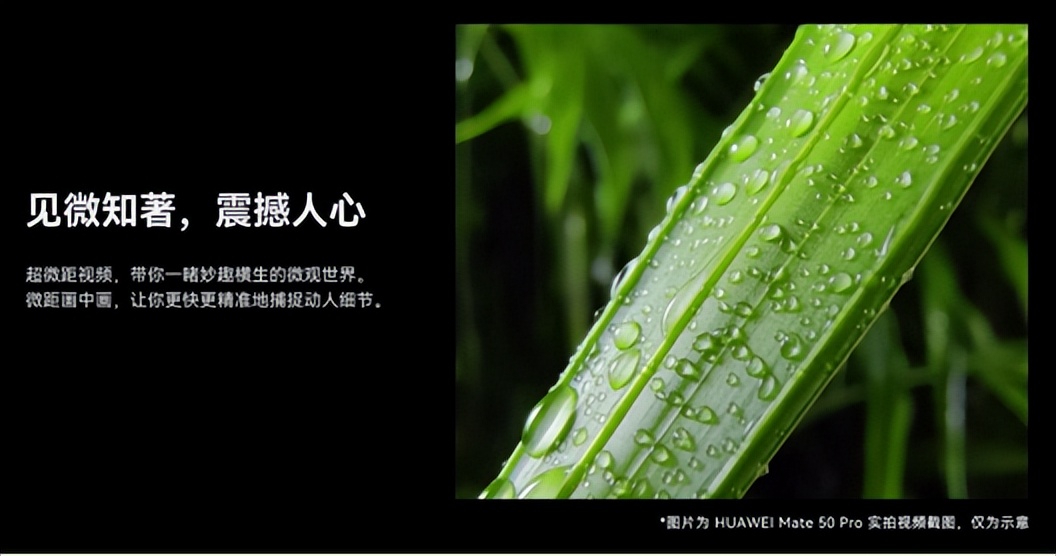 华为正式发布mate50系列评测,华为mate50全部系列发布