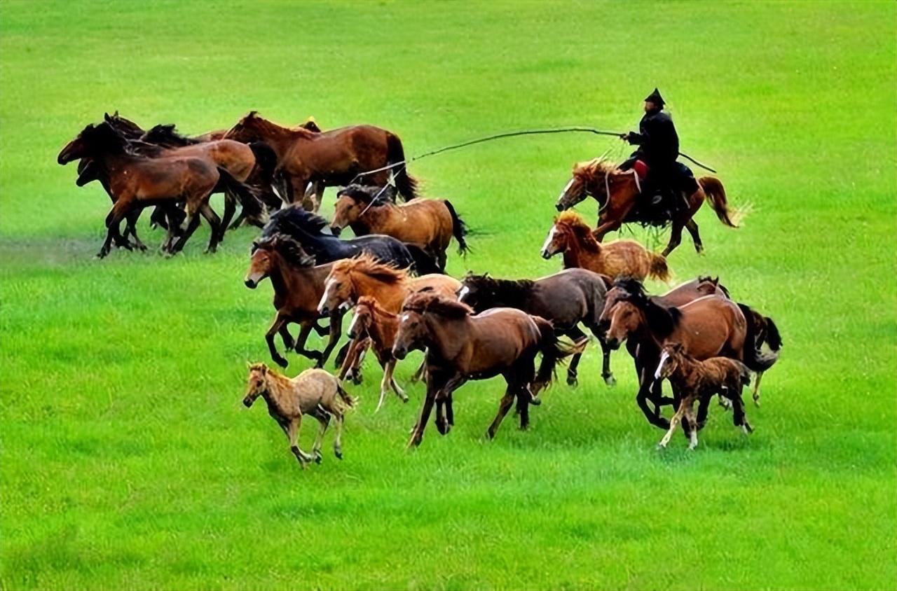 唐朝与回鹘的绢马贸易,唐朝的贸易