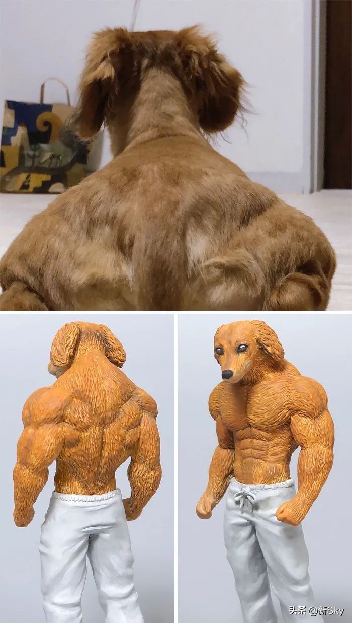 哈哈哈，这个神经手办又双叒更新了，笑惨我了