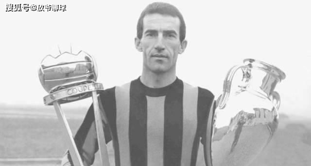 种子有多么关键,种子最重要的部分是哪里