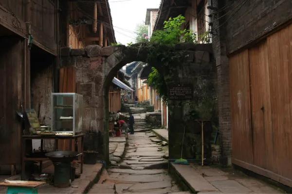 2022春节成都周边油菜花,2022年成都油菜花观赏地