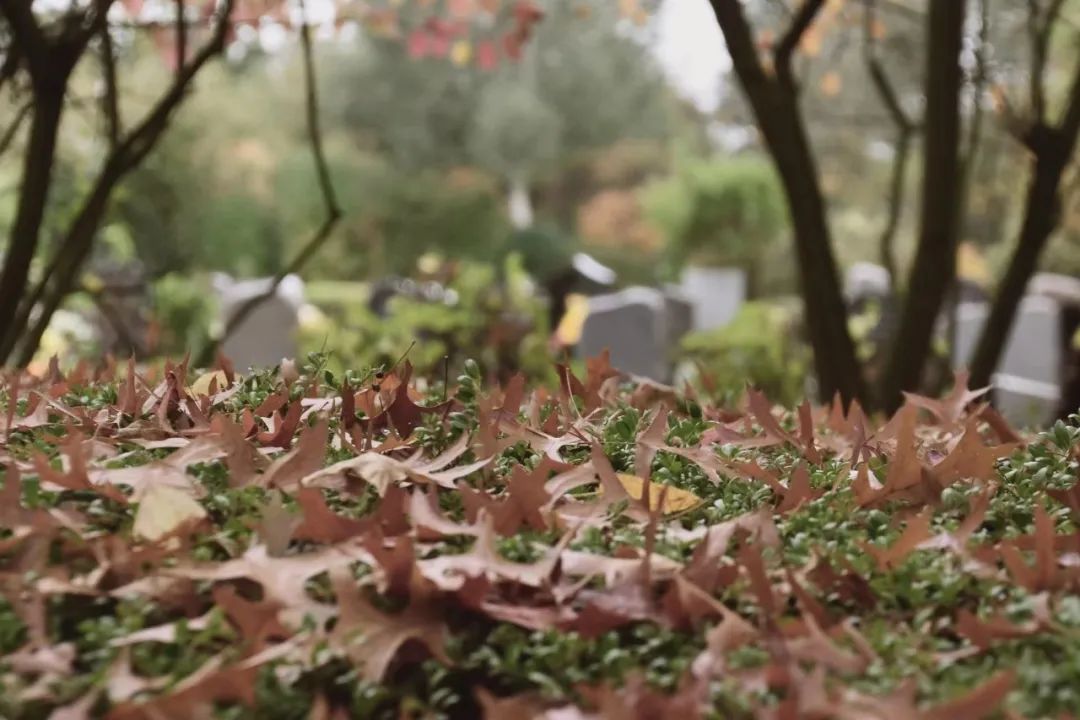 2022，他们离开了我们