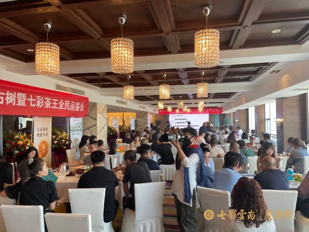 爱不止于四季,昆明不止有七彩云南