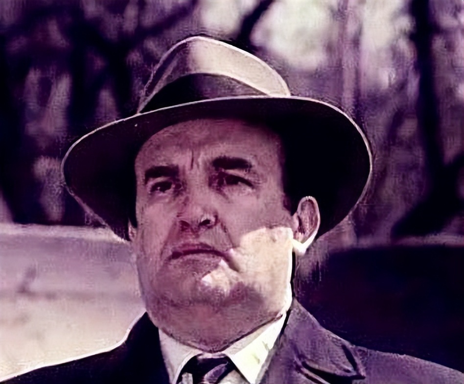 瓦尔特保卫萨拉热窝演员去世,瓦尔特保卫萨拉热窝主演采访