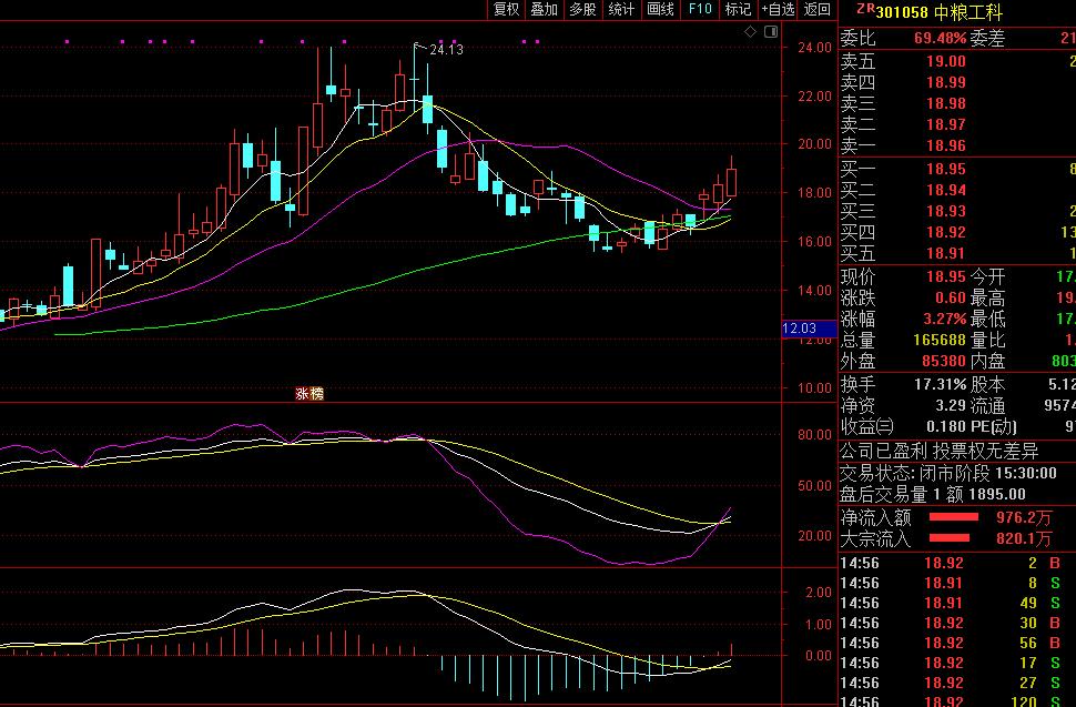 乡村振兴概念股华西股份,乡村数字振兴有哪些概念股