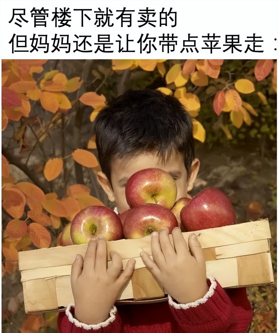 从期待到失望的搞笑表情包,假期结束努力搬砖了的表情包