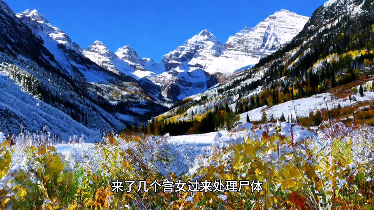 我的姐姐合集,我的姐姐5