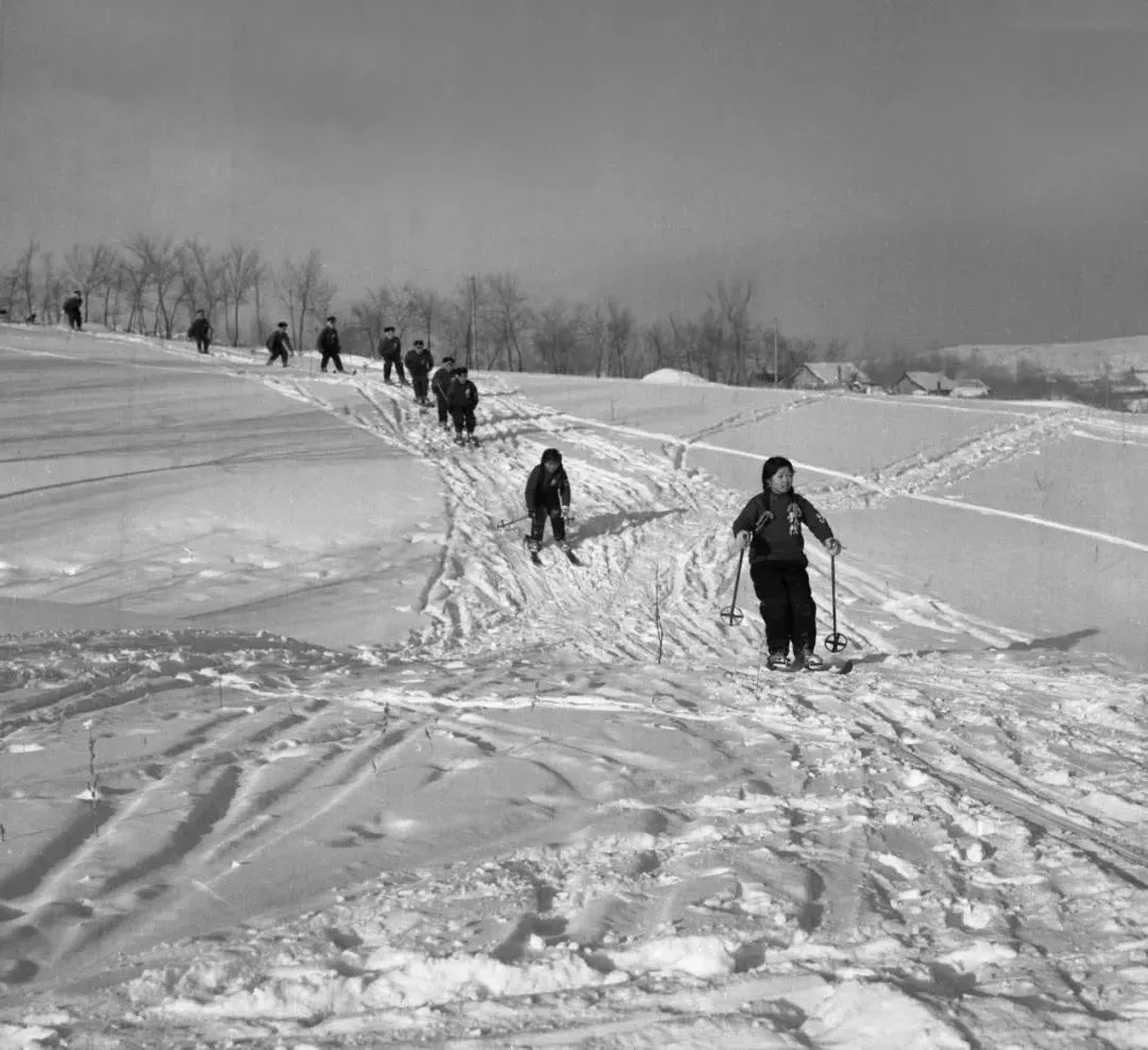 单腿驴和冰鞋,单腿驴冰车的优点