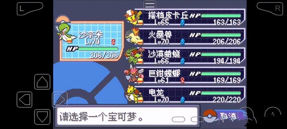 口袋妖怪究极绿宝石5.3过关攻略图,口袋妖怪究极绿宝石5.3全程攻略