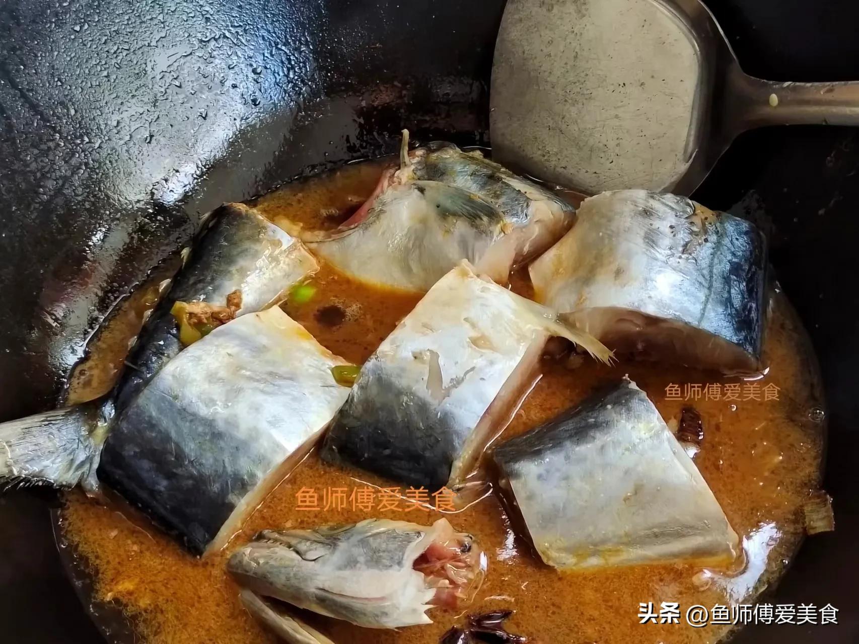 超级好养的海鱼,春季什么海鱼便宜又好养