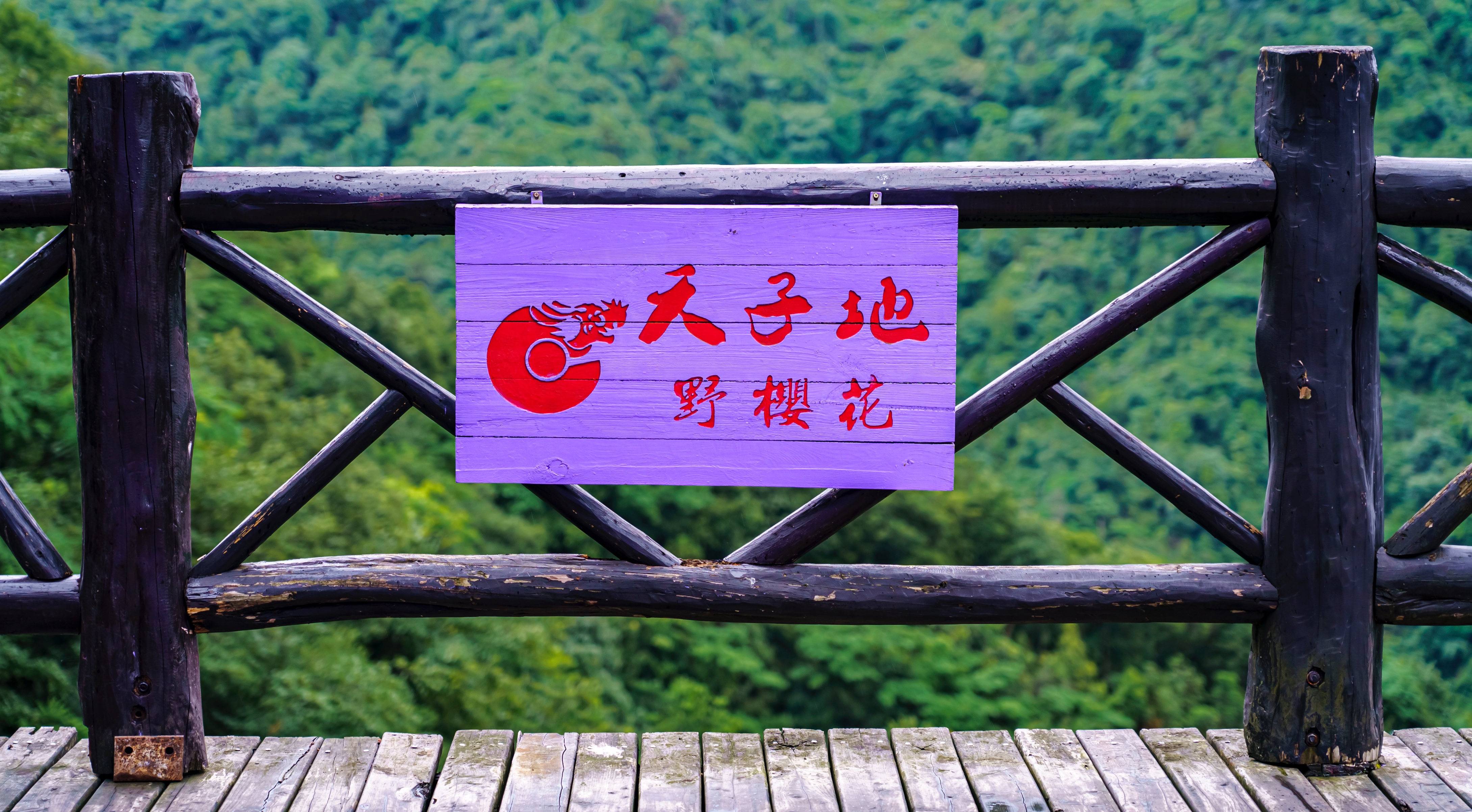 杭州漂流去哪里比较好玩,距离杭州20公里的漂流