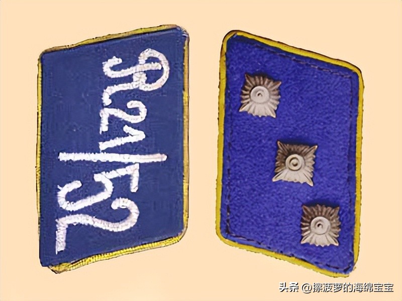 纳粹冲锋队用的什么枪,纳粹德军军衔图解