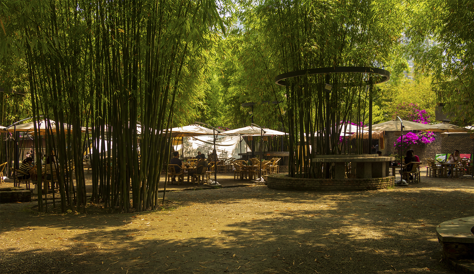 成都贝森路西村,青羊区贝森北路1号西村大院