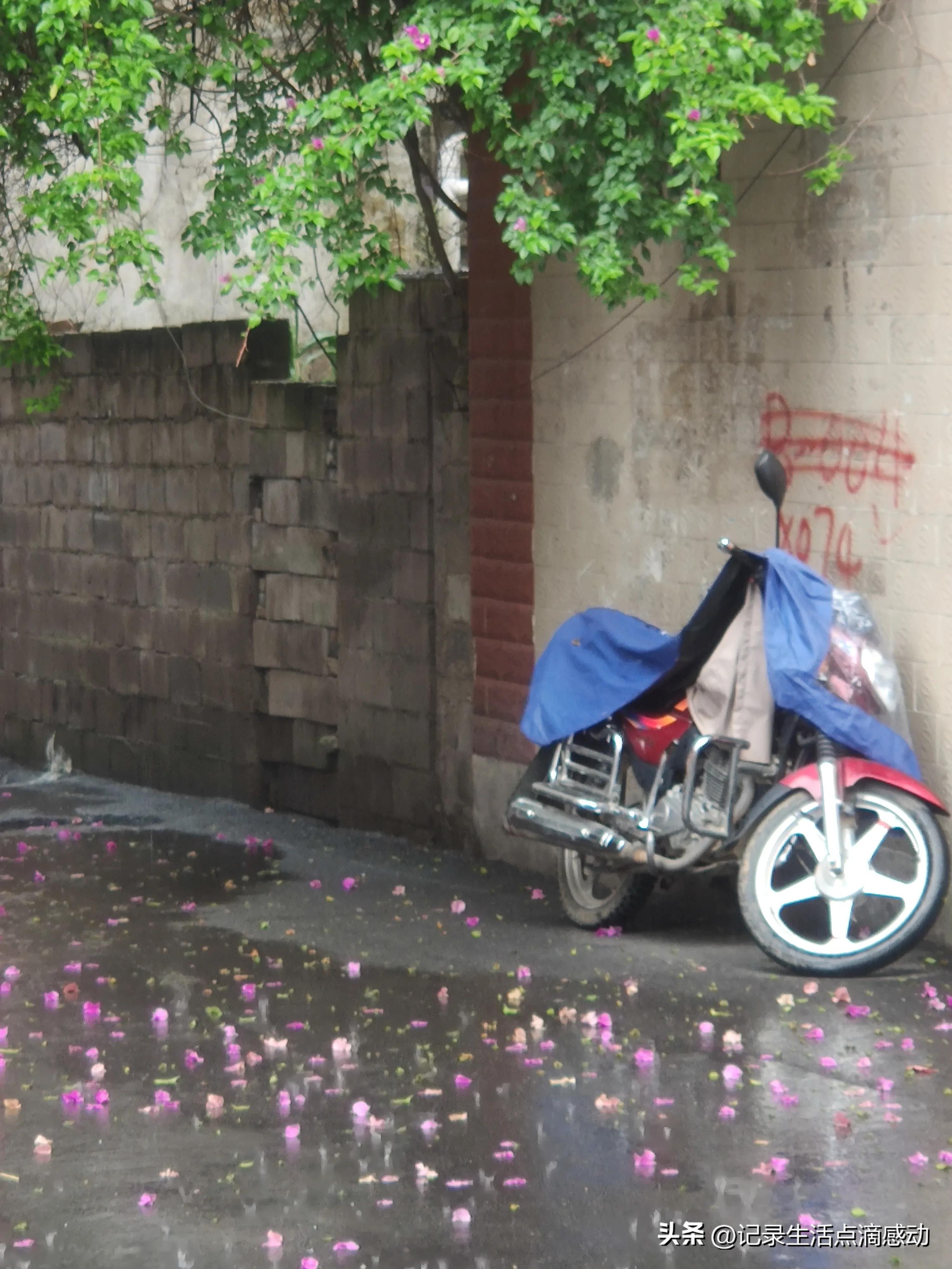 兴义定居的外地人,在兴义定居的外地人