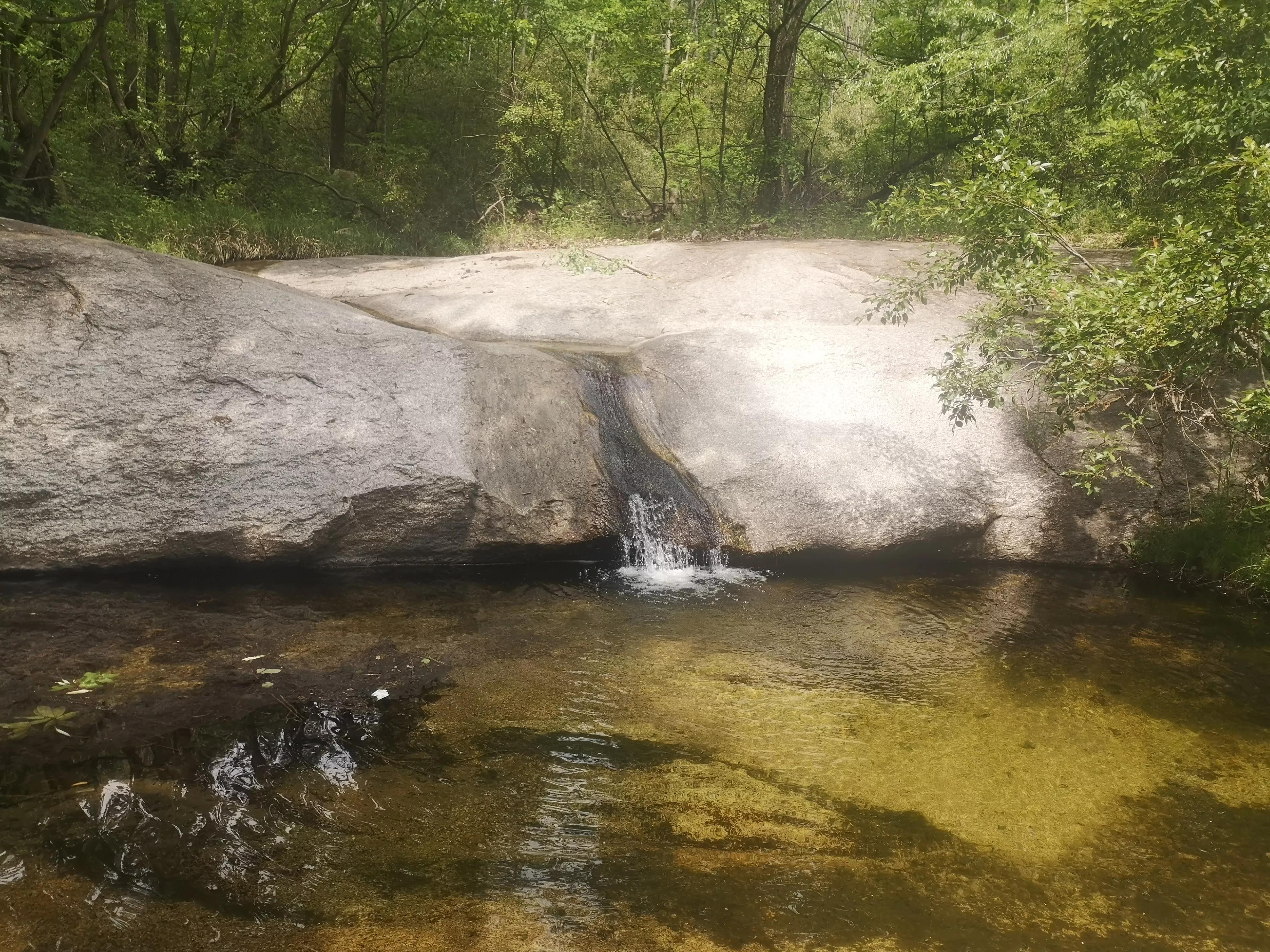 阿凡达中虚幻又真实的场景,阿凡达仙境片段