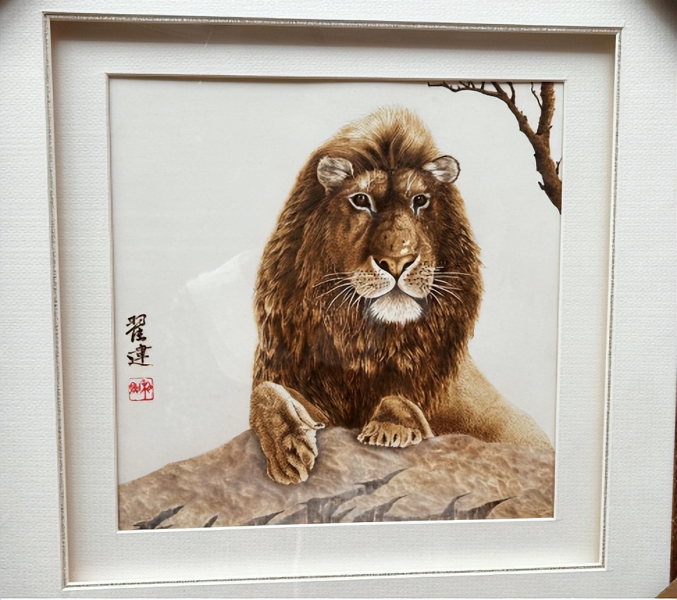 央媒网友热议,央媒密集关注点赞福建