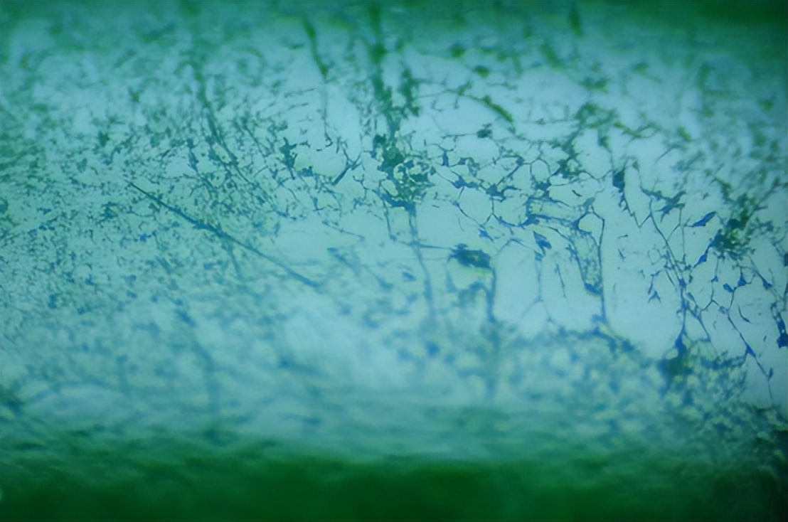 骗人的翡翠,最离谱的假翡翠