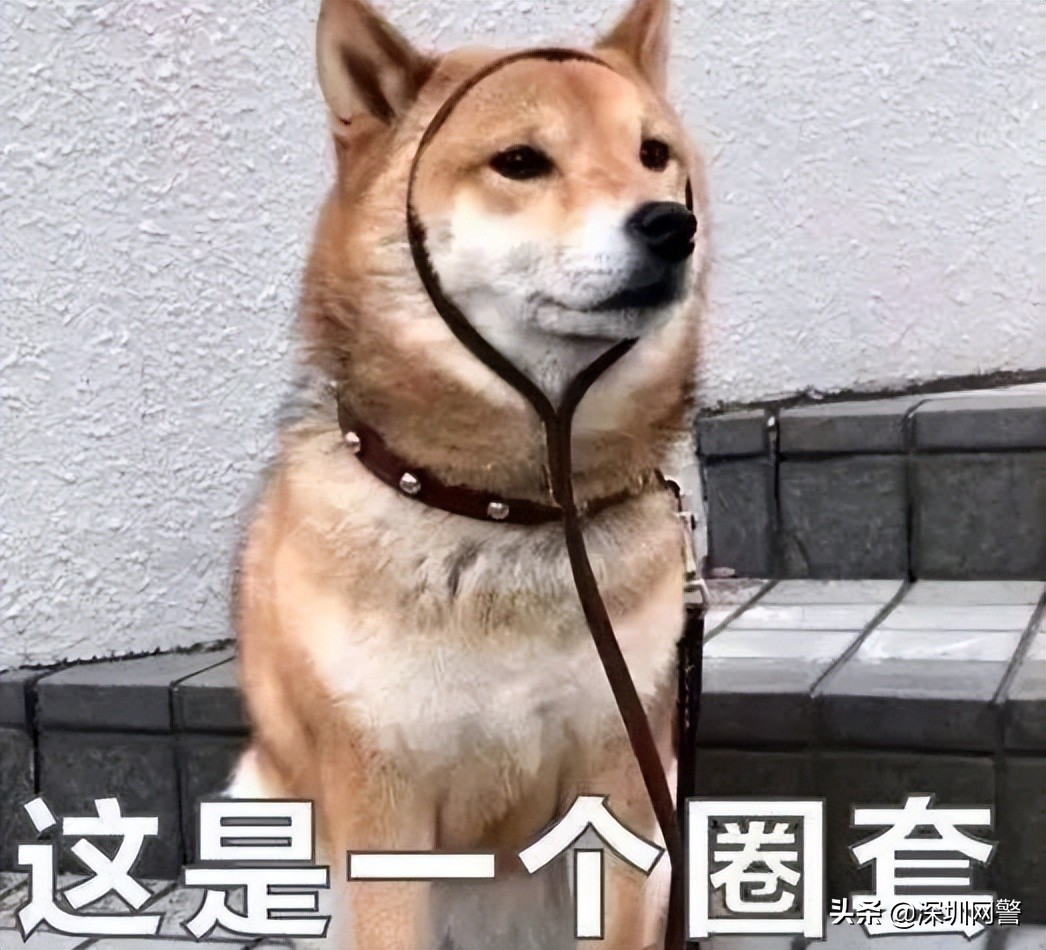 缃戠粶鍒峰崟璇堥獥鍓ф湰,璀︽儠鍒峰崟璧氫剑閲戠瓑缃戠粶楠楀眬