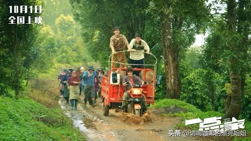 云南天皓庄园,云南天皓咖啡豆