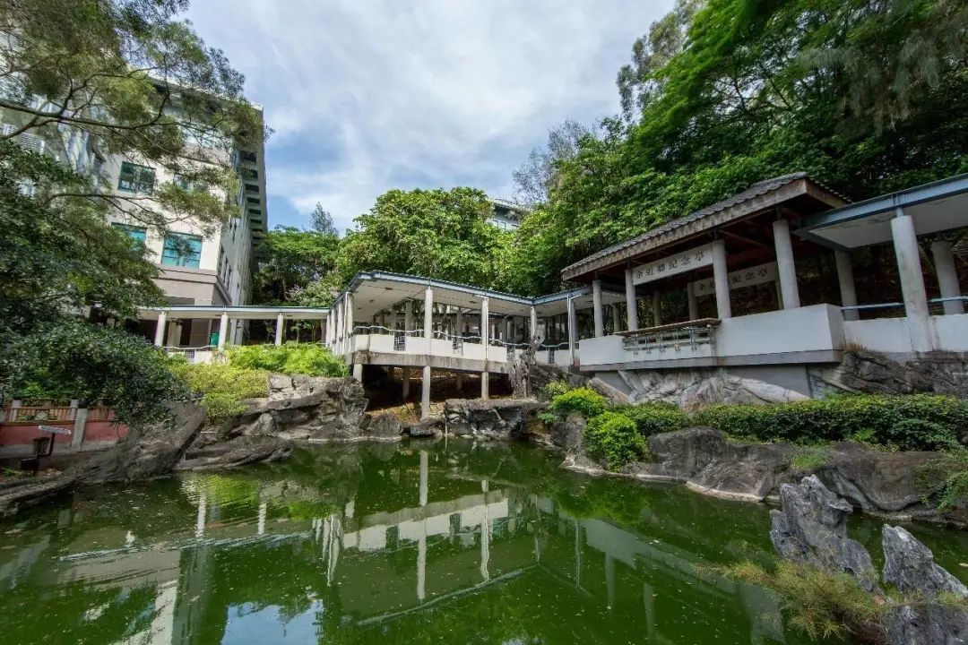 香港岭南大学怎么样？香港岭南大学高考生2022本科申请录取条件