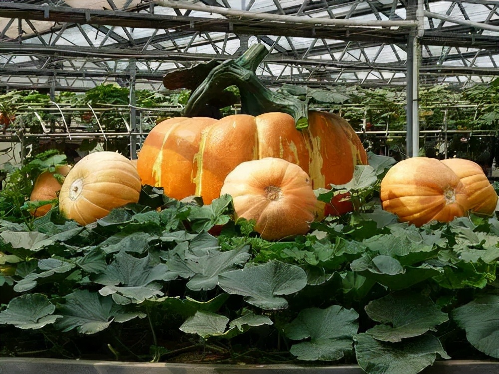 潍坊按摩的好地方,潍坊哪个县好玩