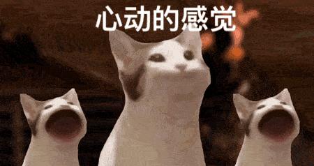 popcat回收,电脑怎么做popcat回收站