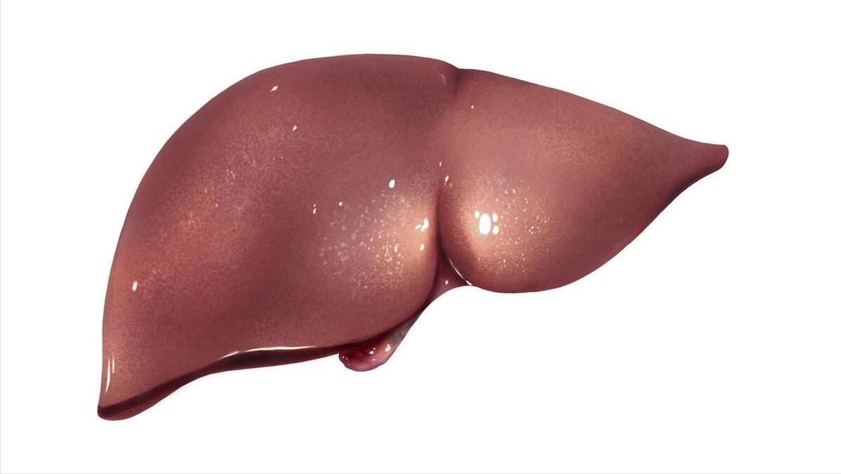 每天一个鸡蛋对恢复肝脏好吗,鸡蛋冲开水对肝脏有好处吗