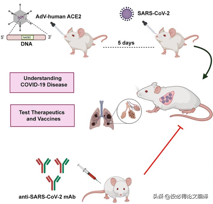 最简单的科研3d在线作图工具,科学网推荐的科研作图软件有哪些