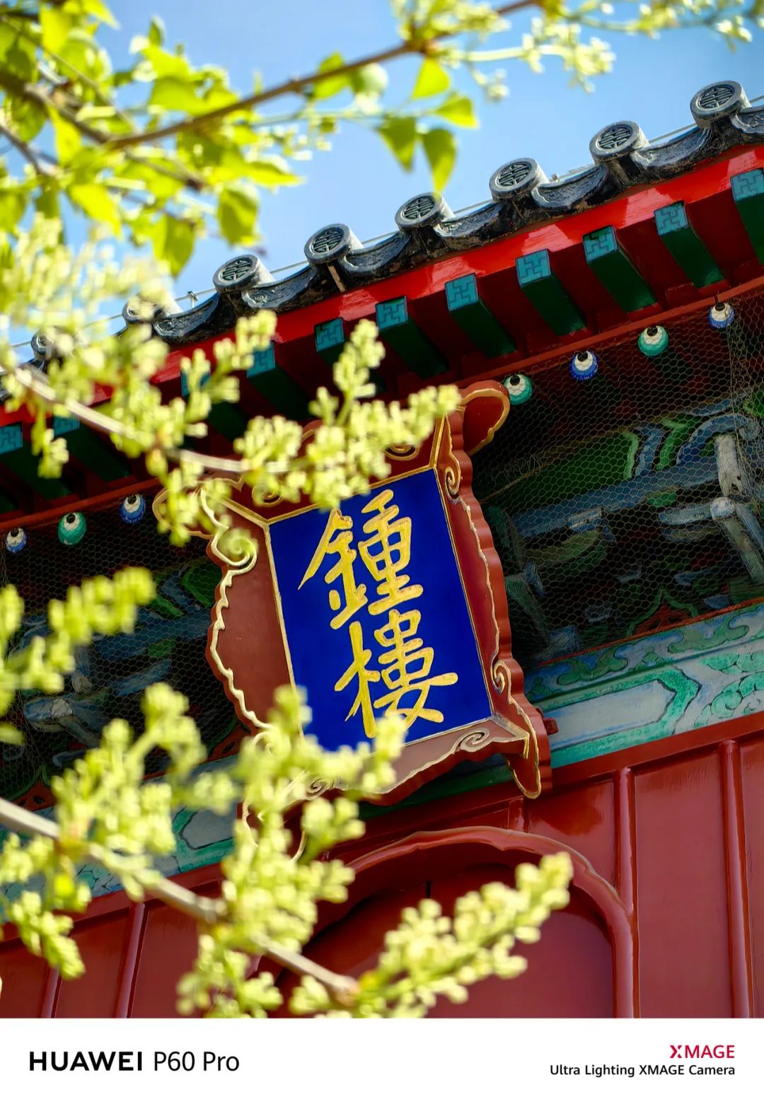 华为p60pro拍照样张原图,华为p60pro拍摄照片样张