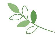 南昌市青山湖区女神节,南昌女神节景区优惠