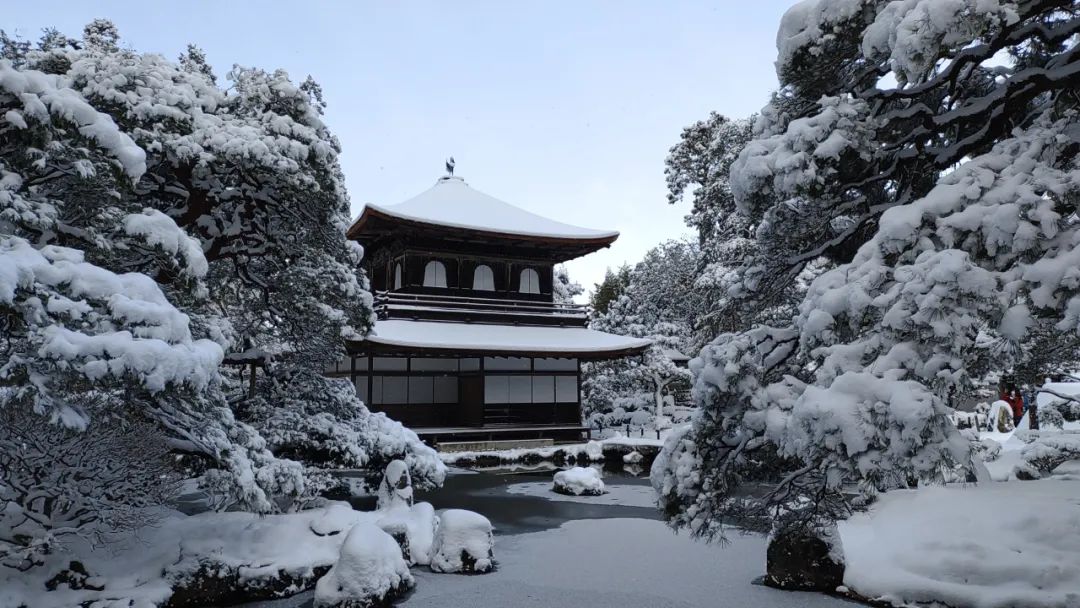 日本小哥回日本,日本小哥下班回家