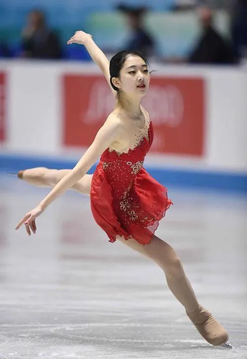 国乒马龙樊振东,樊振东国乒一哥